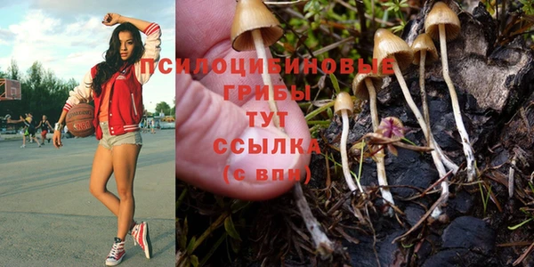 прущие крисы Алзамай