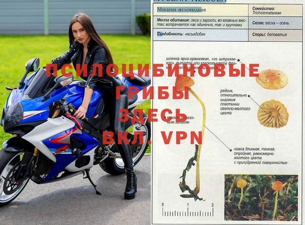 2c-b Алексеевка