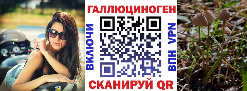 Псилоцибиновые грибы Magic Shrooms  дарк нет официальный сайт  Апатиты 
